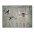 Trademark Fine Art Jai Johnson 'Laundry Day Bluebirds' Canvas Art, 14x19 ALI13875-C1419GG